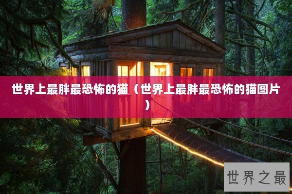 世界上最胖最恐怖的猫（世界上最胖最恐怖的猫图片）