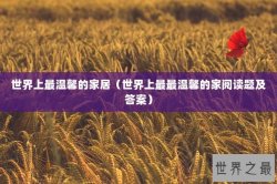 世界上最温馨的家居（世界上最最温馨的家阅读题及答案）