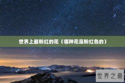 世界上最粉红的花（哪种花是粉红色的）