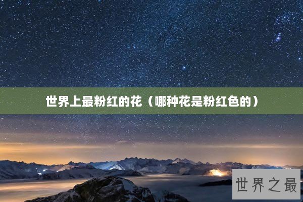 世界上最粉红的花（哪种花是粉红色的）