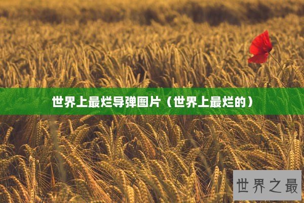 世界上最烂导弹图片（世界上最烂的）