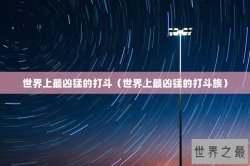 世界上最凶猛的打斗（世界上最凶猛的打斗族）