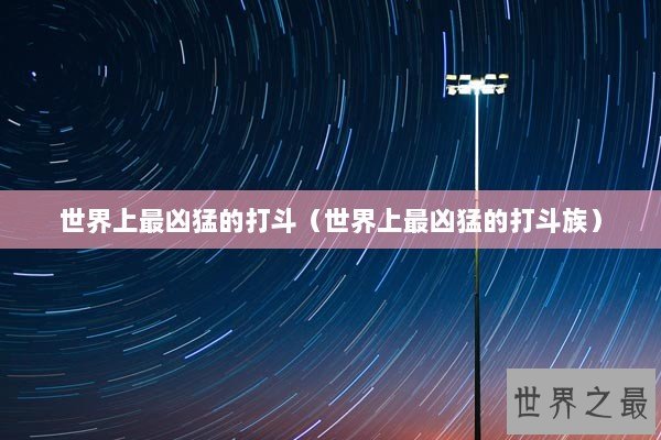 世界上最凶猛的打斗（世界上最凶猛的打斗族）