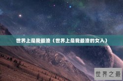 世界上是我最渣（世界上是我最渣的女人）