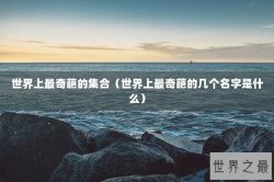 世界上最奇葩的集合（世界上最奇葩的几个名字是什么）