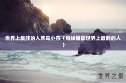 世界上最胖的人就是小布（继续播放世界上最胖的人）