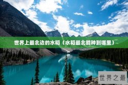 世界上最北边的水稻（水稻最北能种到哪里）