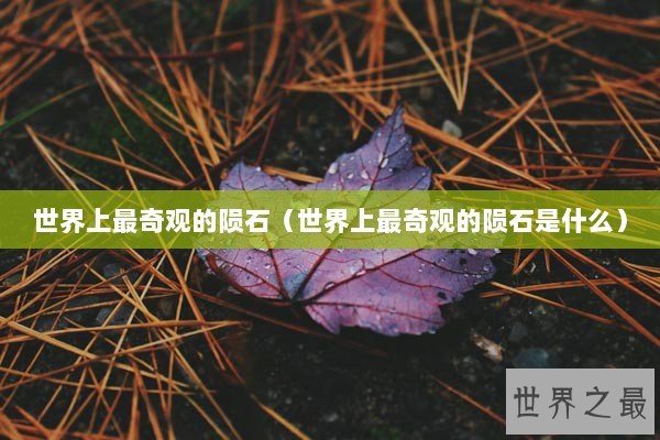 世界上最奇观的陨石（世界上最奇观的陨石是什么）