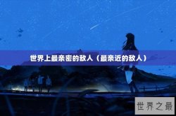 世界上最亲密的敌人（最亲近的敌人）