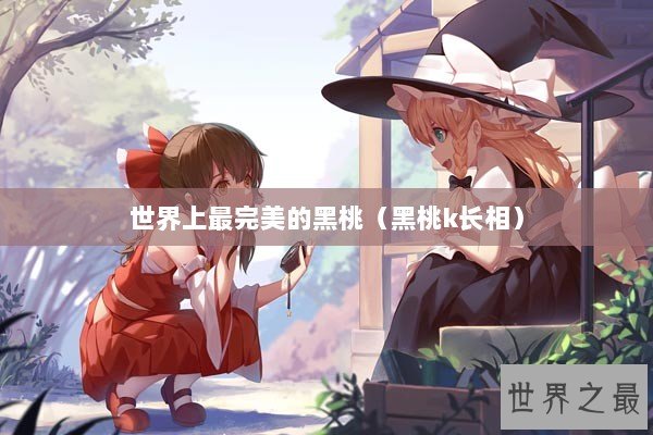 世界上最完美的黑桃（黑桃k长相）