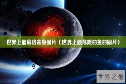 世界上最危险金鱼图片（世界上最危险的鱼的图片）