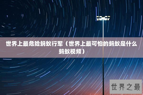 世界上最危险蚂蚁行军（世界上最可怕的蚂蚁是什么蚂蚁视频）