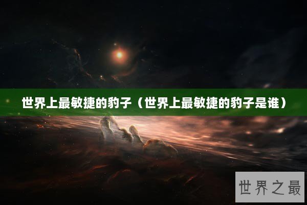 世界上最敏捷的豹子（世界上最敏捷的豹子是谁）