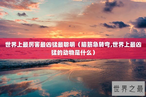 世界上最厉害最凶猛最聪明（脑筋急转弯,世界上最凶猛的动物是什么）