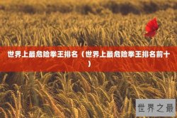 世界上最危险拳王排名（世界上最危险拳王排名前十）