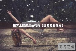 世界上最辉煌的花卉（世界著名花卉）