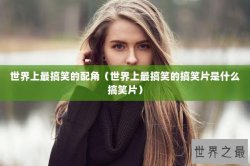 世界上最搞笑的配角（世界上最搞笑的搞笑片是什么搞笑片）