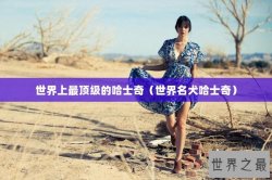 世界上最顶级的哈士奇（世界名犬哈士奇）