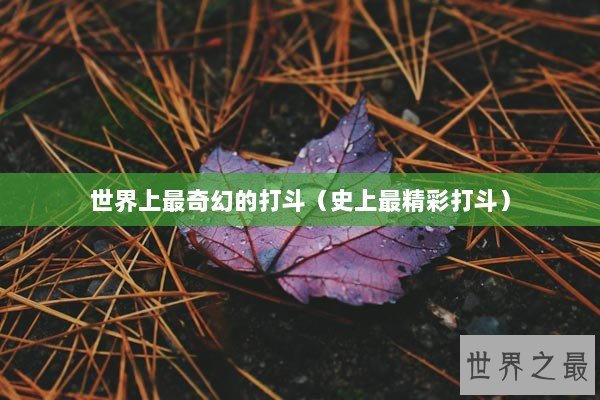 世界上最奇幻的打斗（史上最精彩打斗）