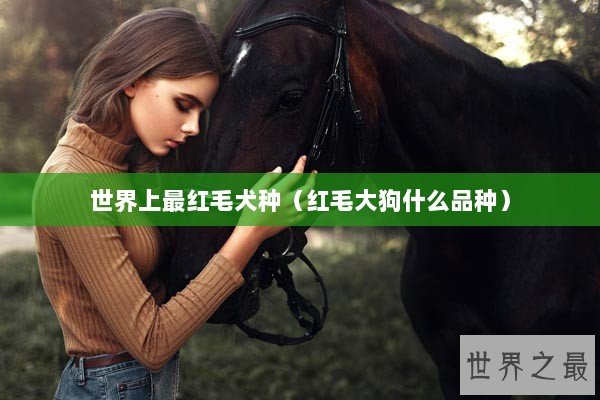 世界上最红毛犬种(红毛大狗什么品种) 世界上最红毛犬种(红毛大狗什么品种)