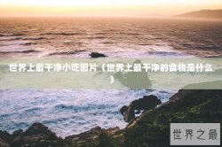 世界上最干净小吃图片（世界上最干净的食物是什么）