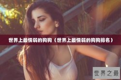 世界上最懦弱的狗狗（世界上最懦弱的狗狗排名）