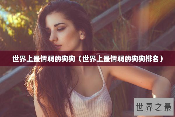 世界上最懦弱的狗狗（世界上最懦弱的狗狗排名）