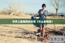 世界上最粗糙的材质（什么最粗糙）