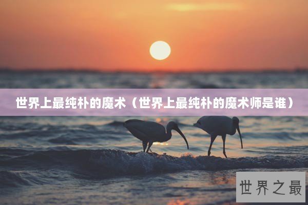 世界上最纯朴的魔术（世界上最纯朴的魔术师是谁）