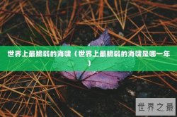 世界上最脆弱的海啸（世界上最脆弱的海啸是哪一年）