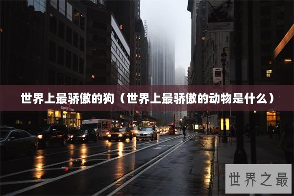 世界上最骄傲的狗（世界上最骄傲的动物是什么）