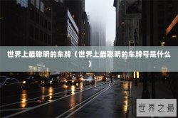 世界上最聪明的车牌（世界上最聪明的车牌号是什么）