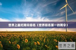 世界上最烂雨伞排名（世界排名第一的雨伞）