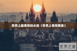 世界上最奇观的水田（世界上奇观美景）