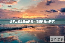世界上最沧桑的声音（沧桑声音的歌手）