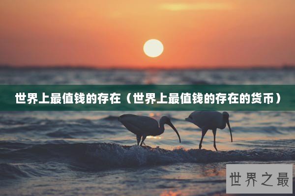 世界上最值钱的存在（世界上最值钱的存在的货币）