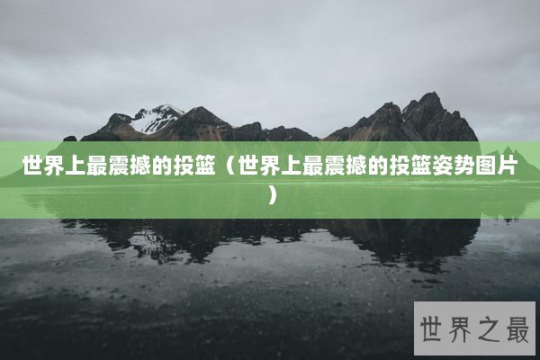 世界上最震撼的投篮（世界上最震撼的投篮姿势图片）