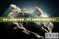 世界上最勇敢的鲨鱼（世界上最勇敢的鲨鱼是什么）