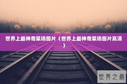 世界上最神奇菜场图片（世界上最神奇菜场图片高清）