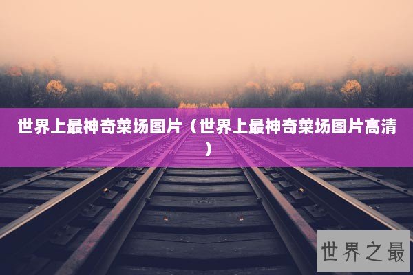 世界上最神奇菜场图片（世界上最神奇菜场图片高清）