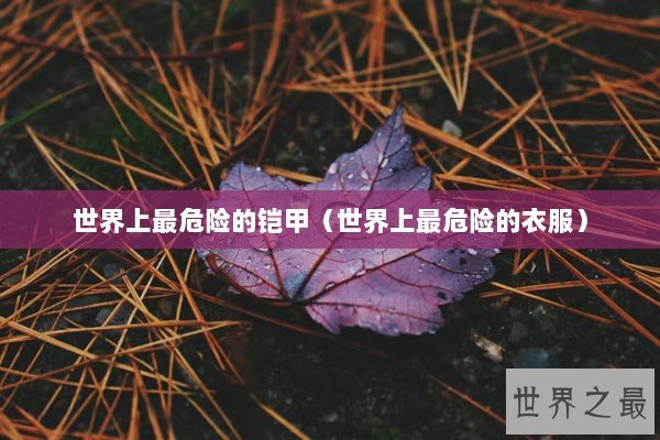 世界上最危险的铠甲（世界上最危险的衣服）