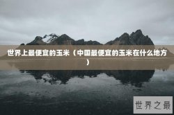 世界上最便宜的玉米（中国最便宜的玉米在什么地方）