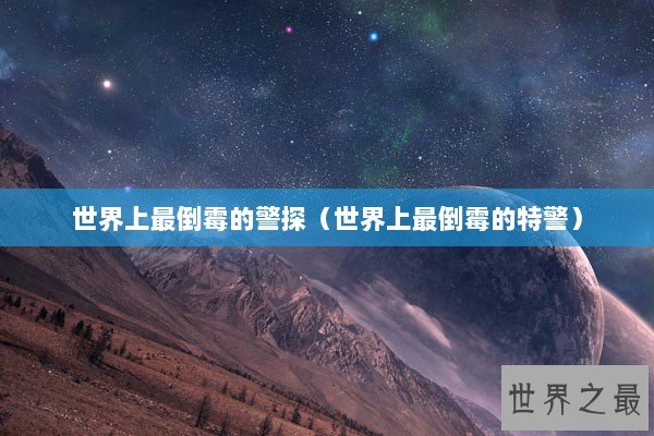 世界上最倒霉的警探（世界上最倒霉的特警）