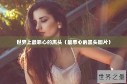 世界上最恶心的黑头（最恶心的黑头图片）