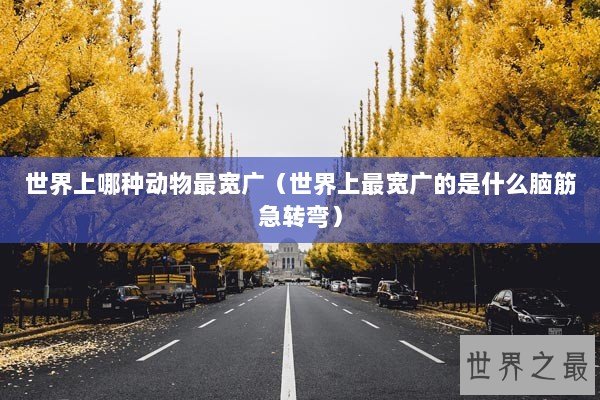 世界上哪种动物最宽广（世界上最宽广的是什么脑筋急转弯）