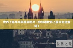 世界上最牛牛奥特曼图片（你知道世界上最牛的是谁吗）