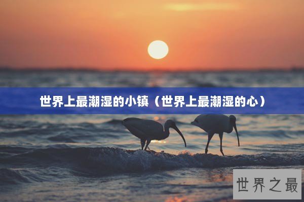 世界上最潮湿的小镇(世界上最潮湿的心) 世界上最潮湿的小镇(世界上最潮湿的心)