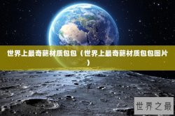 世界上最奇葩材质包包（世界上最奇葩材质包包图片）