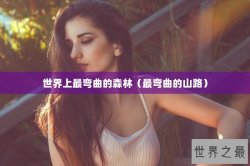 世界上最弯曲的森林（最弯曲的山路）