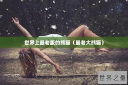 世界上最老版的熊猫（最老大熊猫）